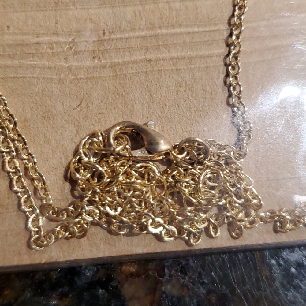 ๐HOST PICK๐ Good Karma Necklace - Picture 4 of 4